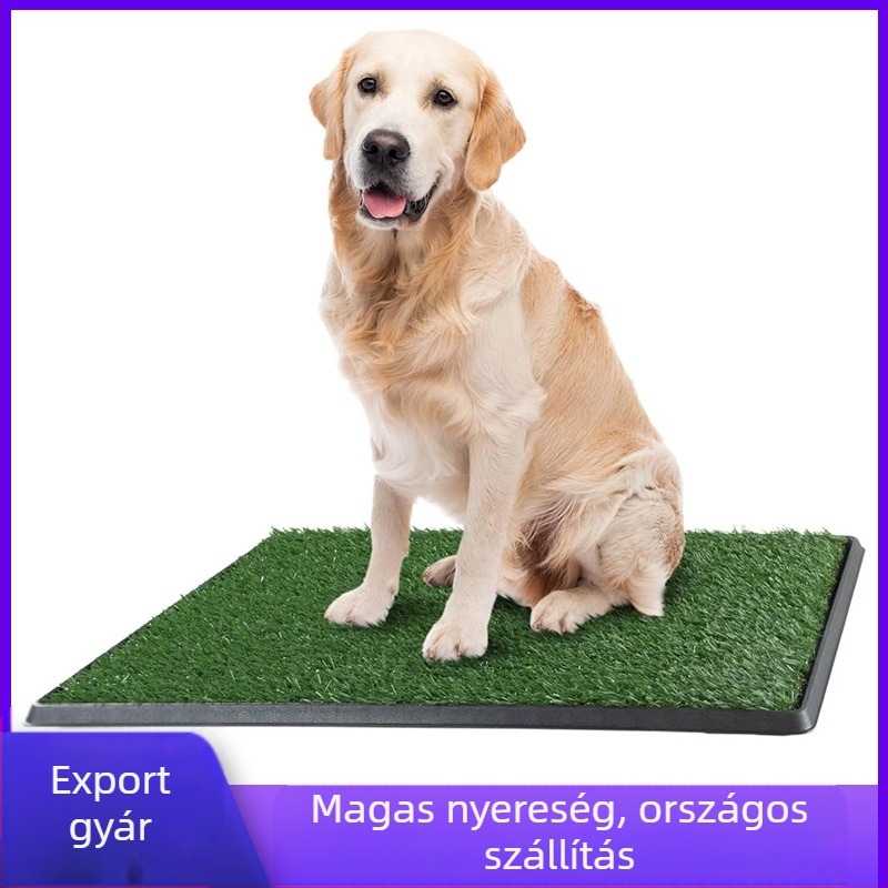 Határokon átnyúló granulált kutyavécé nagy és közepes méretű szimulációs gyep háromrétegű kutyavécé fixpontos kiképző hamis gyepvécé