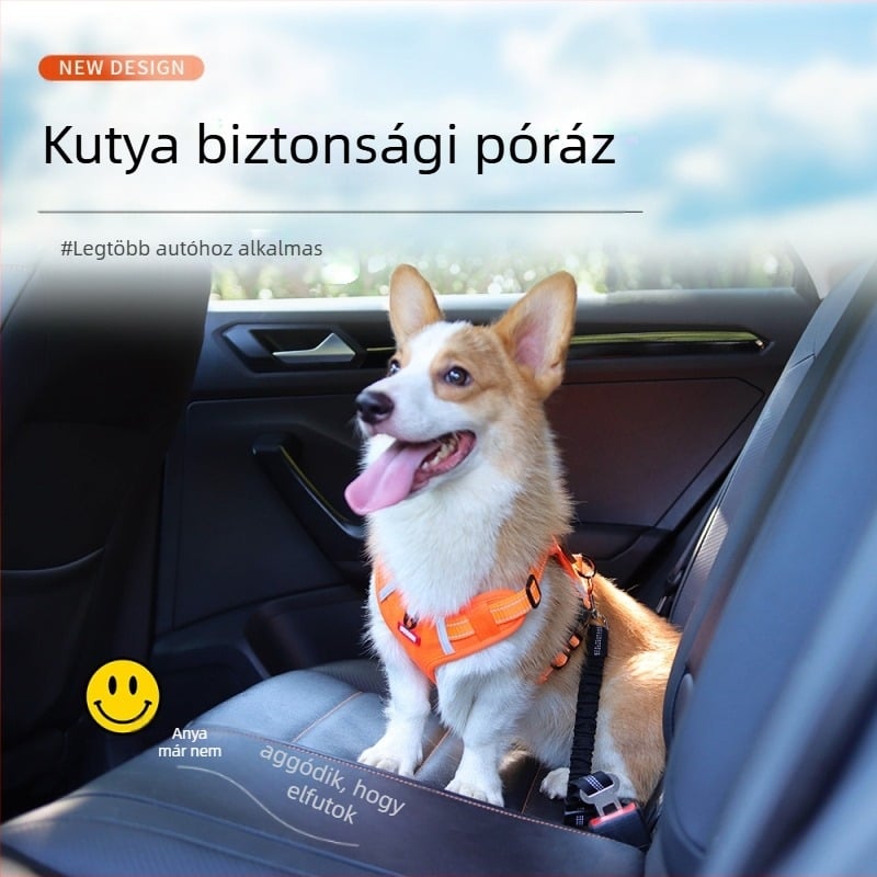 Határokon átnyúló robbanások kisállat autó vonókötél kutya autó biztonsági kötél állítható biztonsági kötél kutya vonókötél
