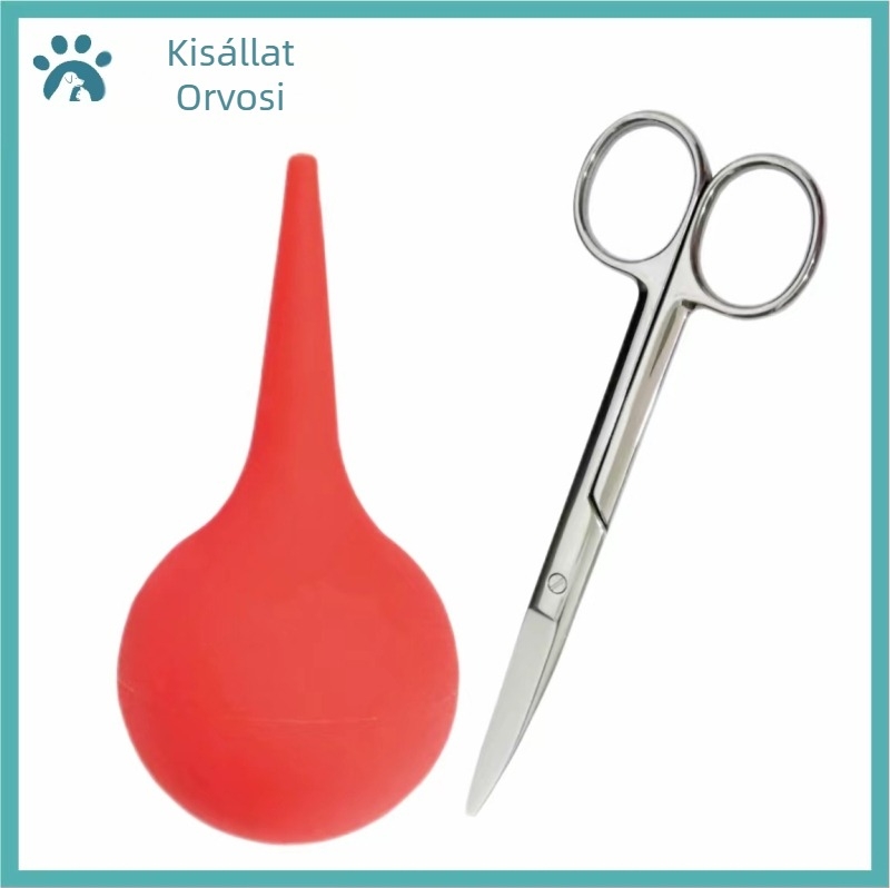 Magzatvíz leszívás Macska Háziállat Macska Orrszívás Kölyökkutya Fulladás Vízzel való mentés Magzatvíz-termelés Árkok