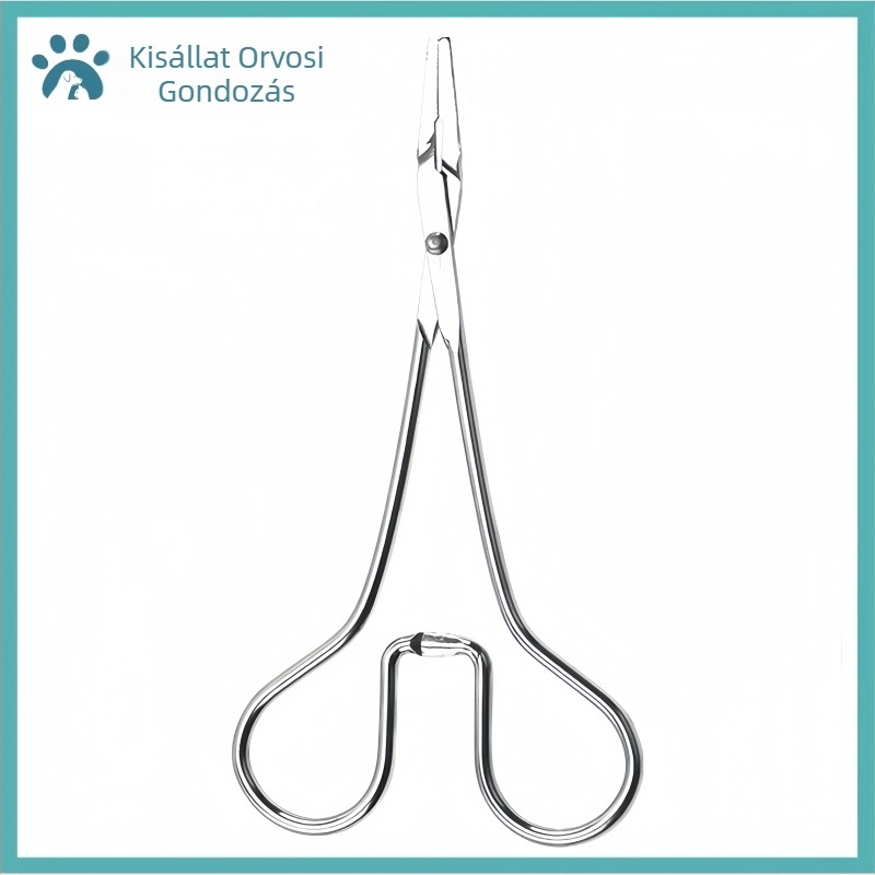 Magzatvíz leszívás Macska Háziállat Macska Orrszívás Kölyökkutya Fulladás Vízzel való mentés Magzatvíz-termelés Árkok