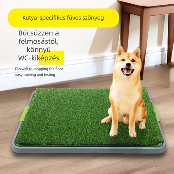 Kisállat kutya WC közepes nagy kis kutya műfű széklettisztító lépésgátló szar bili piszoár dedikált