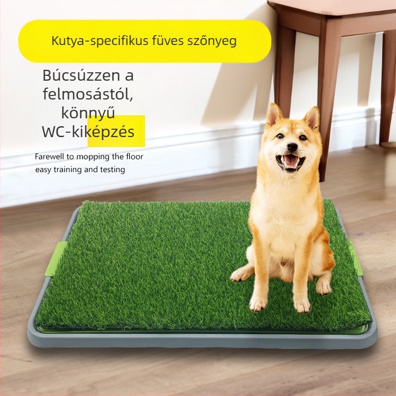 Kisállat kutya WC közepes nagy kis kutya műfű széklettisztító lépésgátló szar bili piszoár dedikált