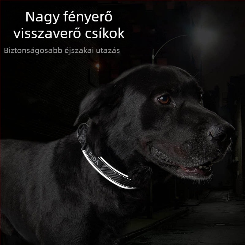 Nejlon fényvisszaverő kisállat nyakörv kutya nyakörv kötélpánt Feida Amazon népszerű kutya nyakörv nagykereskedelmi nyakörv