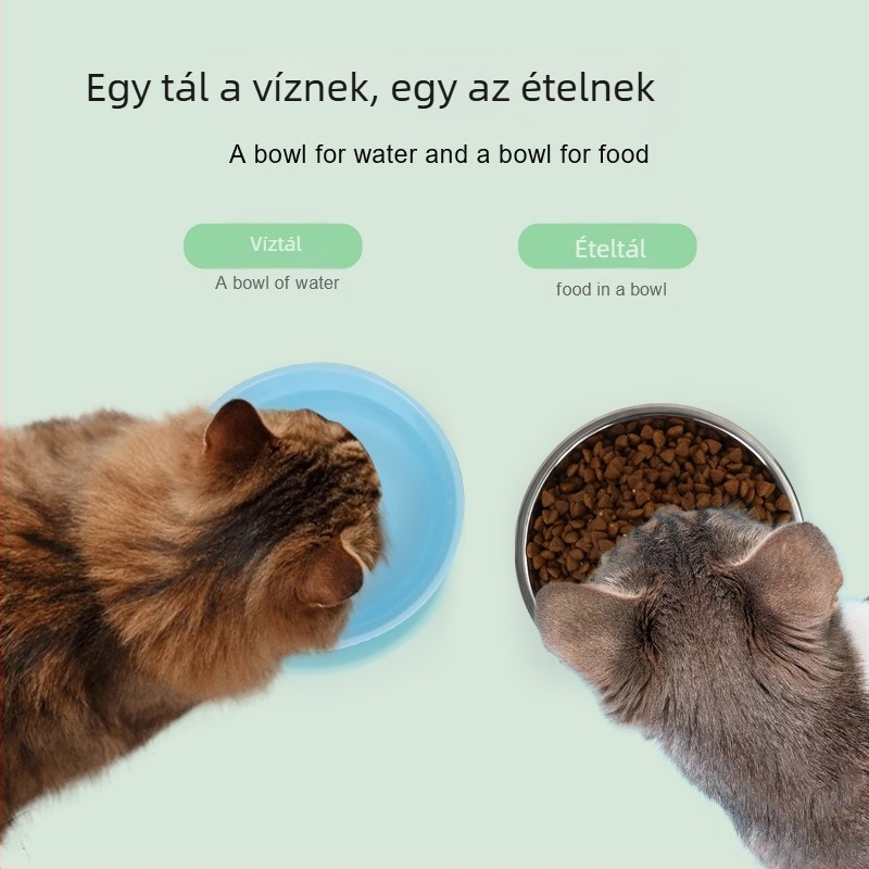 Nagykereskedelmi kisállat-kellékek Csúszásmentes tál kutya- és macskaeledel tál rizstál kutyáknak itatótál kettős felhasználású etetőtál kisállatoknak