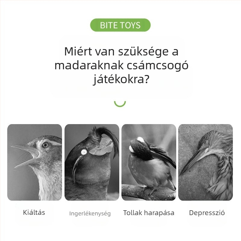Papagájjáték, Tigrisbőr, Bazsarózsa, Xuanfeng, Rágó és Mászó Madárkalitka, Létra, Platform, Létra, Hinta, Kisállat-kellékek