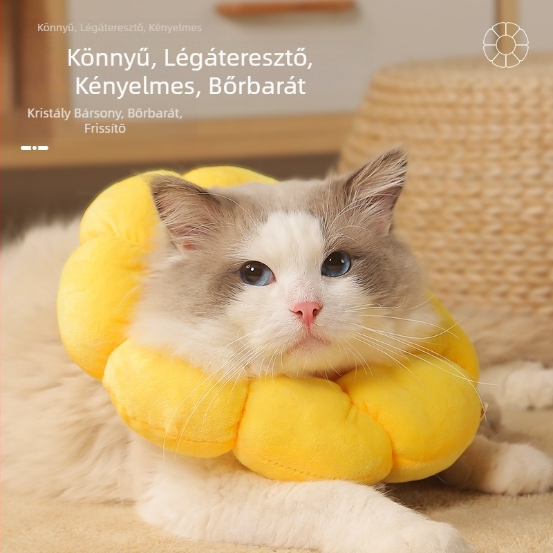 Napraforgó Elizabeth nyakörv kisállat nyakörv macska Elizabeth nyakörv kutya nyakörv sterilizált nyalásgátló fejfedő