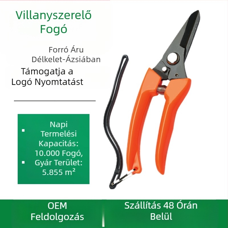 Határokon átnyúló, forró eladású 702-es függőkötélű multifunkcionális drótvas olló kertészeti virágkertészeti kerti ág rozsdamentes acél metszőolló