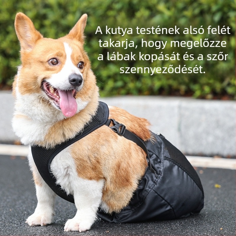 Kisállat kutya hátsó láb sérülés segédeszközök közepes és nagy kutyák hátsó láb sérülésvédő zsák hátsó láb védelem kisállat kellékek