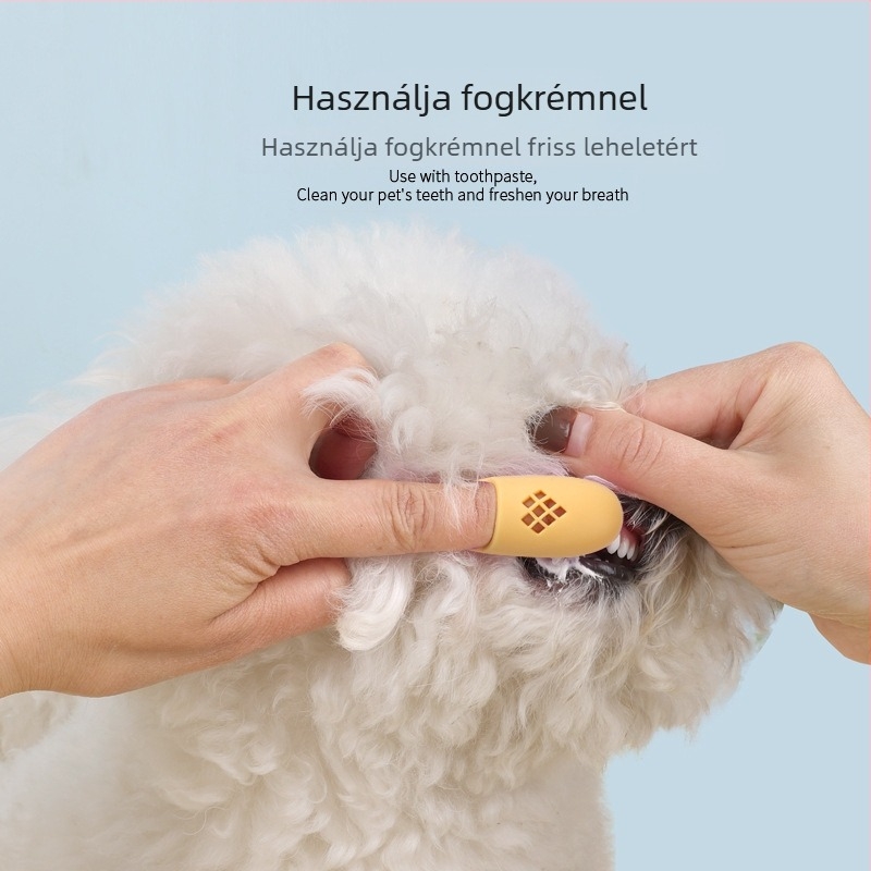 Határokon átnyúló kisállat fogkefe macska szájtisztító ujj macska fogkefe kutya ujj szett kutya fogkefe kisállat kellékek nagykereskedelem