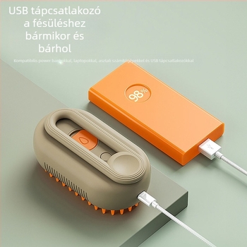 Határokon átnyúló új kisállat fésű macska és kutya elektromos spray masszázs fésű egy kattintással spray repülésgátló szőrmasszázs fürdő nagykereskedelem