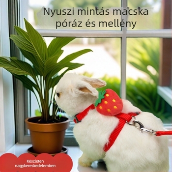 Nyúl húzókötél aranyos I alakú macska nyúl mellkas hát kisállat húzókötél ki sétáló nyúl kötél raktáron nagykereskedelemben