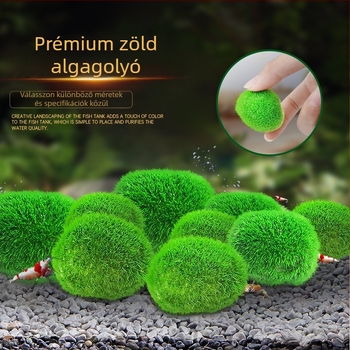 Mesterséges akvárium hínár labda vízinövények mikro táj ökológiai palack zöld alga labda akvárium táj beltéri asztali dekoráció díszek