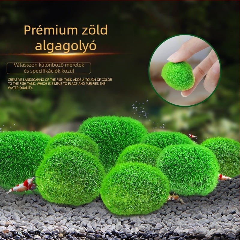 Mesterséges akvárium hínár labda vízinövények mikro táj ökológiai palack zöld alga labda akvárium táj beltéri asztali dekoráció díszek