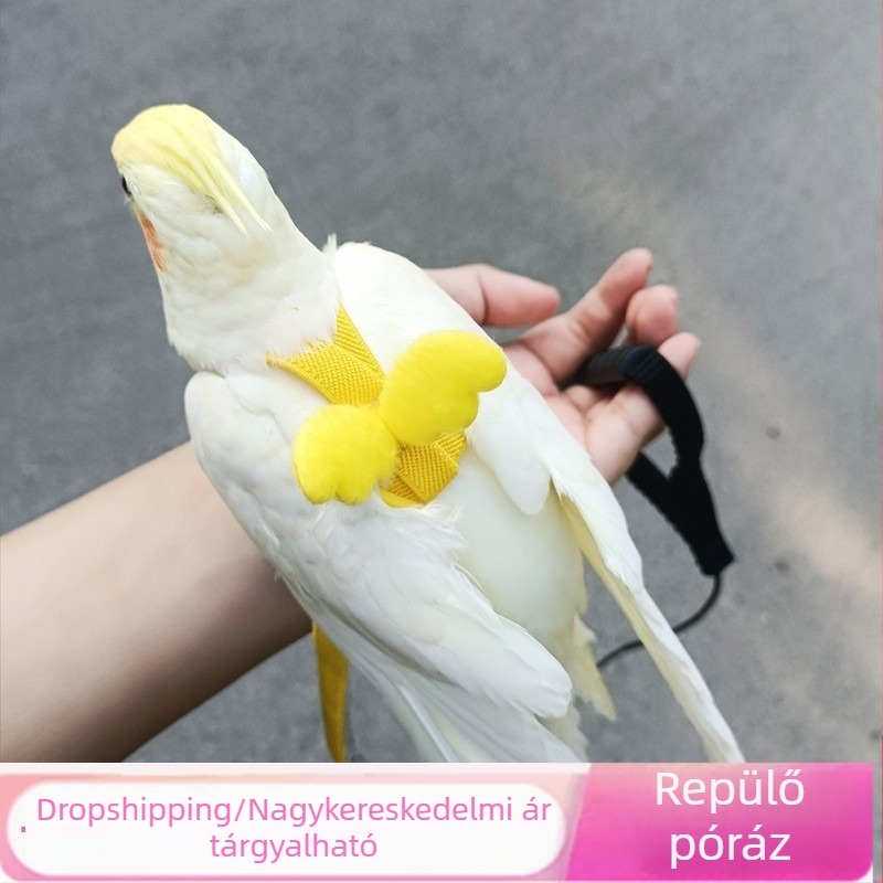 Papagáj repülő kötél szíj madár séta kötél tigrisbőr Xuanfeng kis nap láb nélküli ultra könnyű vonókötél