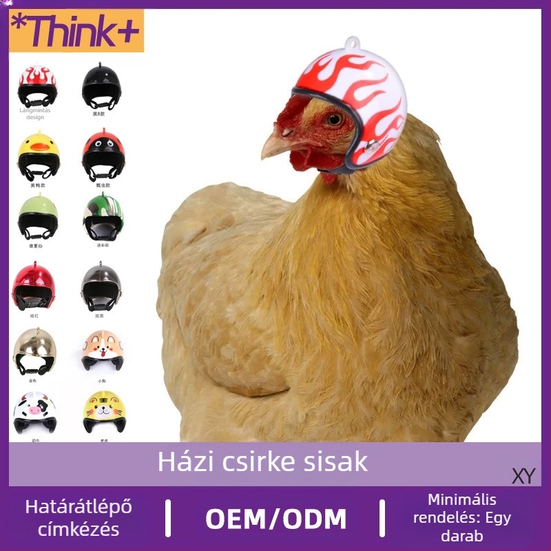 Csirke sisak Postagalamb Csirke Galamb sisak Papagáj Vicces védősisak Madár Védő sisak