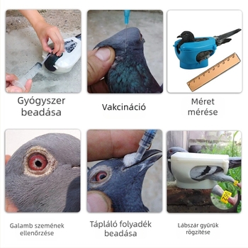 Galambfelszerelések Madártartó Gyógyszer Etetés Oltóanyag Tartó Etetés Megfigyelő Madártartó Állvány Fiókáknak Speciális Állvány