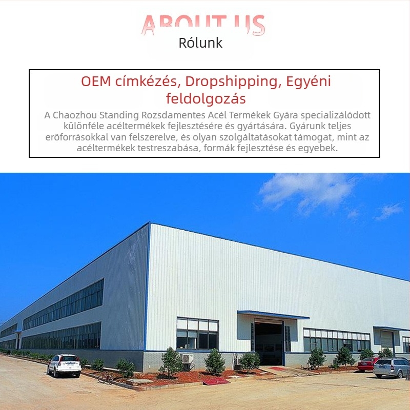 Új, határokon átnyúló, rozsdamentes acél törölközőtartó, dupla rúd, tekercses papírtartó, törölközőtartó, fürdőszobai tartó, törölközőtartó, egyrúd