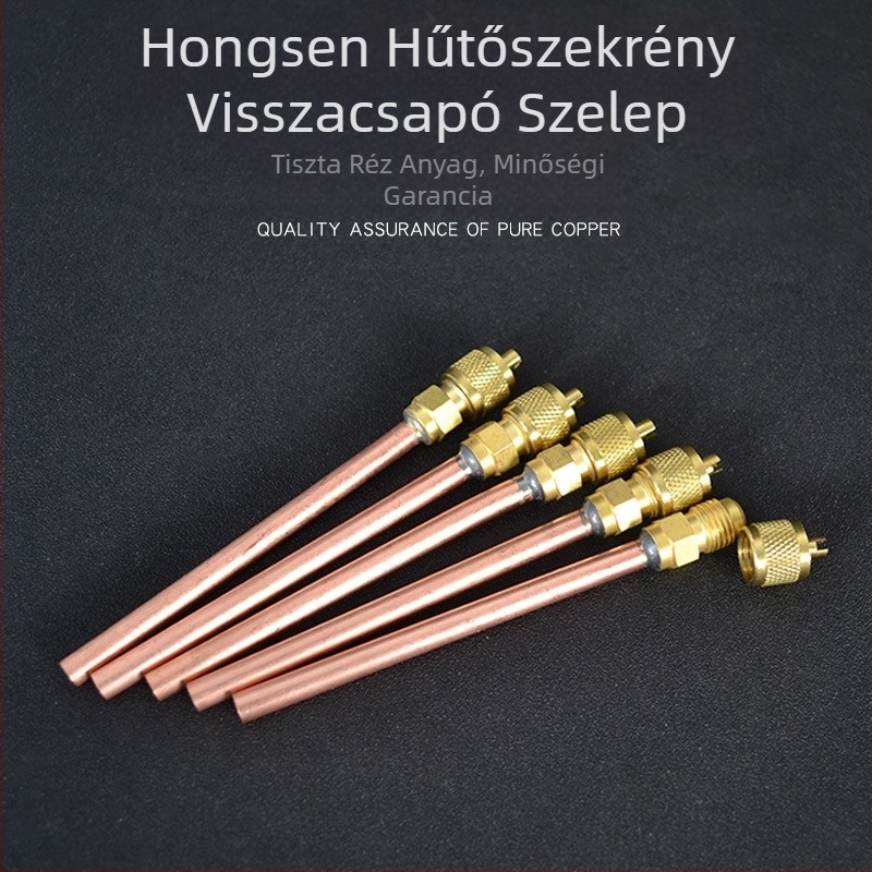 Hongsen visszacsapó szelep HS-110 tűszelep hűtőszekrény fluorid fúvóka folyadék fúvóka hűtőszekrény gyorscsatlakozó fluorid gyorscsatlakozó