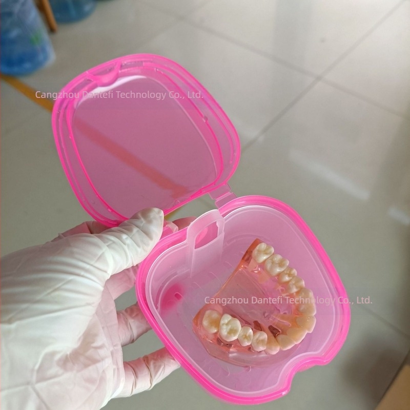 Fogsor elhelyezésére szolgáló doboz Teljes fogsor doboz Fogsor doboz Teljes fogsor doboz Fogsor doboz Hálós fogsor doboz Apple fogsor doboz 53