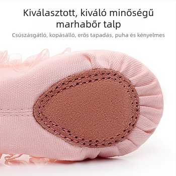 Tánccipők Női és Gyermek Puha Talpú Őszi és Téli Gyakorló Testhezálló Gyapjúval Bélelt Húsos Csipke Macskakarom Lányoknak Hercegnő Balett Tánc