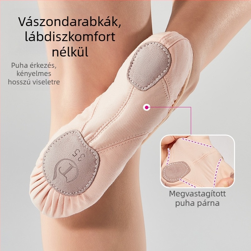 Tánccipők Puha talpú gyermek gyakorló tánccipők Vászon varrás Jóga felnőtt tánccipők Balettcipők Külkereskedelem