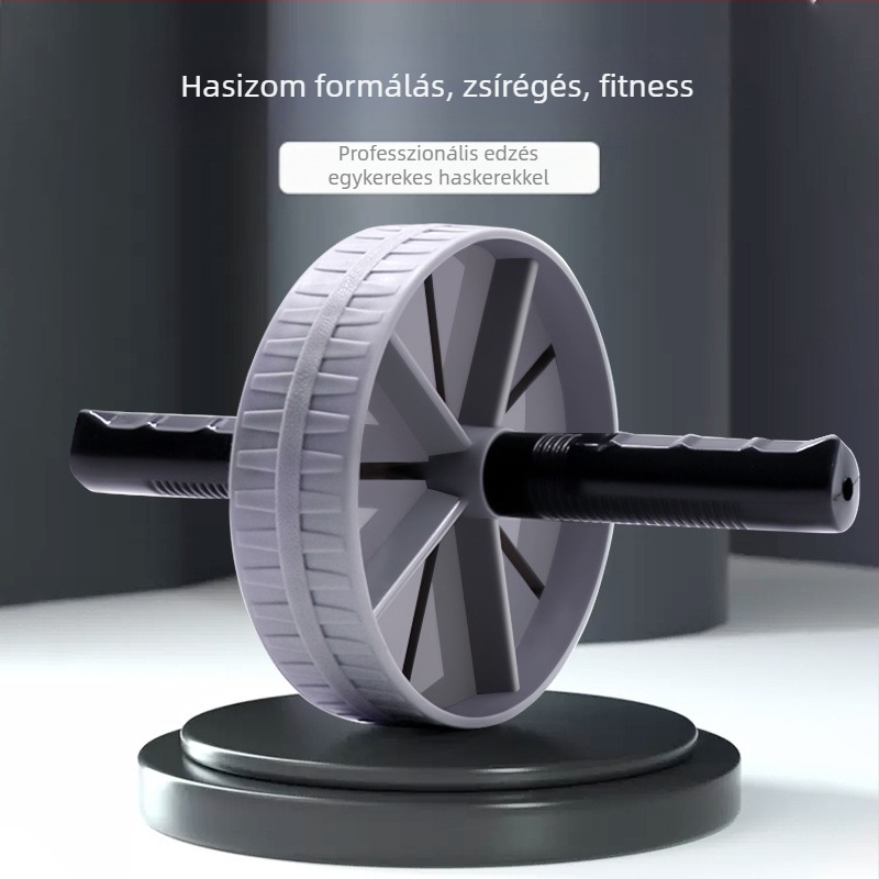 Gyári közvetlen beszerzés Óriáskerék hasi kerék Kétkerekű Csendes hasi ütőkerék Fitneszfelszerelés Otthoni hasi kerék Sportfelszerelés
