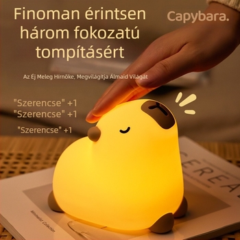 Meditációs Kabi Bala éjszakai fény, hangulat, asztali díszek, Pat Light, hálószoba, éjjeliszekrény, USB töltő, szilikon éjszakai fény