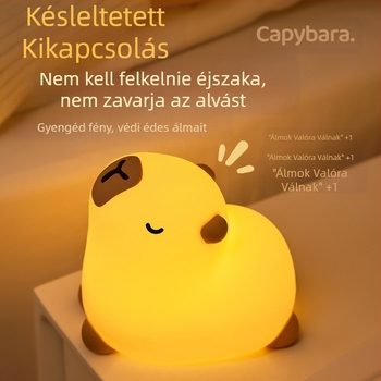 Meditációs Kabi Bala éjszakai fény, hangulat, asztali díszek, Pat Light, hálószoba, éjjeliszekrény, USB töltő, szilikon éjszakai fény