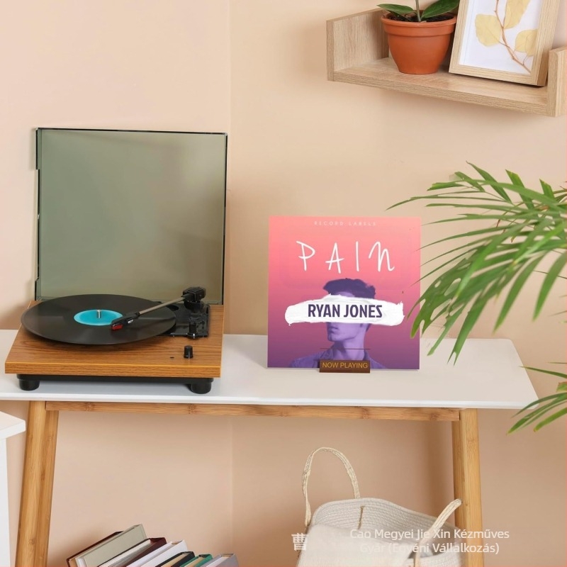 Polc fa bakelit lemeztartó egyszerű magazintartó lemez CD-állvány talp vinil fa talp