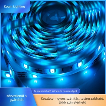 Határokon átnyúló LED szalag 5050RGB varázslatos színű intelligens otthoni mennyezeti beltéri hangulatú LED szalag lineáris szekrényvilágítás