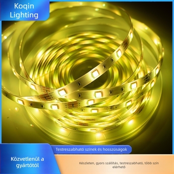Határokon átnyúló LED szalag 5050RGB varázslatos színű intelligens otthoni mennyezeti beltéri hangulatú LED szalag lineáris szekrényvilágítás