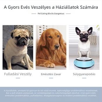 Lassú etető fulladásgátló eszköz kisállatoknak, szilikon fulladásgátló lassú etetőtál tapadókoronggal, univerzális macskáknak és kutyáknak, fulladásgátló, lassú etetés