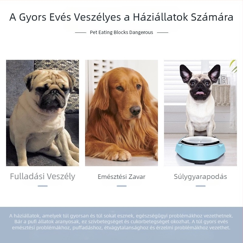 Lassú etető fulladásgátló eszköz kisállatoknak, szilikon fulladásgátló lassú etetőtál tapadókoronggal, univerzális macskáknak és kutyáknak, fulladásgátló, lassú etetés