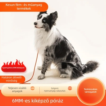 6 mm-es kisállat-kiképző kötél, meghosszabbított taktikai versenykutya póráz, robbanásbiztos macskáknak, kis méretű kutyáknak, sétáló tárgy