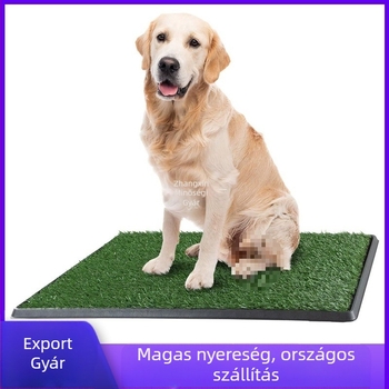 Határokon átnyúló granulált kutyavécé nagy, közepes és kis gyepfelületre, háromrétegű kutyavécé fixpontos kiképző műgyepvécé