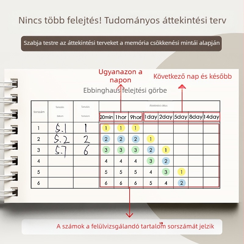 Angol szókincs memorizáló könyv Ebbinghaus, kis jegyzetfüzeteket is lefedhet, hordozható kis jegyzetfüzetek középiskolás diákoknak, akik felvételi vizsgát tesznek a posztgraduális képzésen