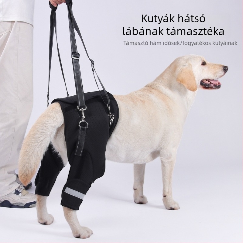 Határokon átnyúló kutya hátsó láb segédöv idős kutyáknak, fogyatékkal élő kutyák rehabilitációja, hátsó láb emelő húzókötél nagykereskedelem