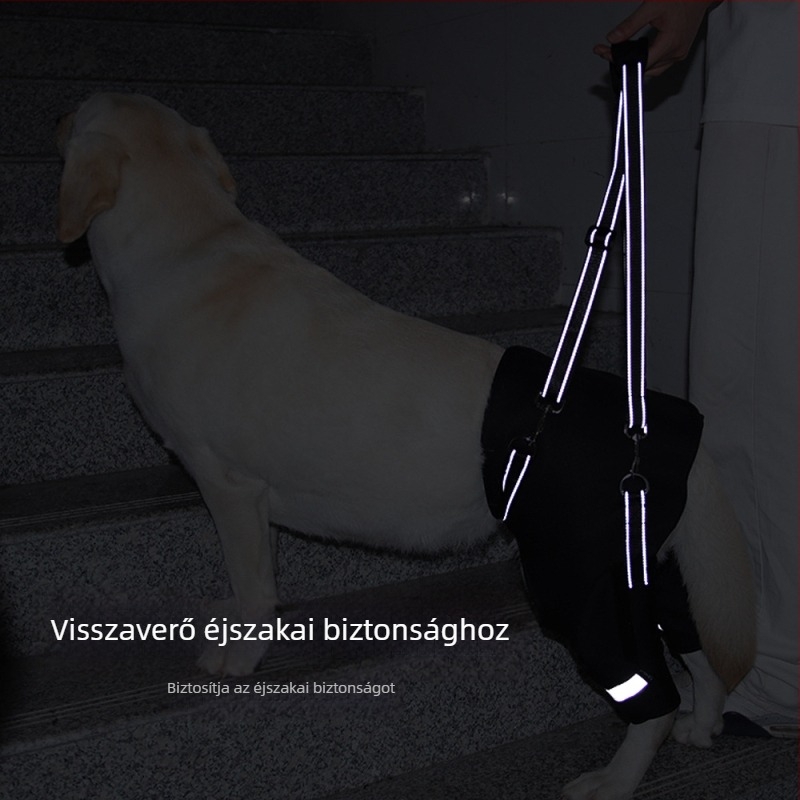 Határokon átnyúló kutya hátsó láb segédöv idős kutyáknak, fogyatékkal élő kutyák rehabilitációja, hátsó láb emelő húzókötél nagykereskedelem