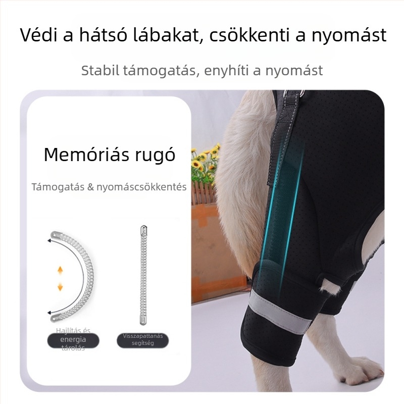 Határokon átnyúló kutya hátsó láb segédöv idős kutyáknak, fogyatékkal élő kutyák rehabilitációja, hátsó láb emelő húzókötél nagykereskedelem