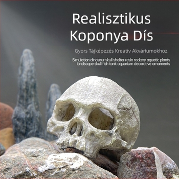 Akvárium akvárium tereprendezés díszek skorpió palota őr pók gyík kígyó piton koponya csont tenyésztés ház menekülés