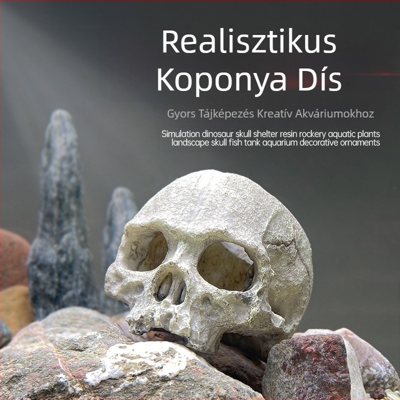 Akvárium akvárium tereprendezés díszek skorpió palota őr pók gyík kígyó piton koponya csont tenyésztés ház menekülés