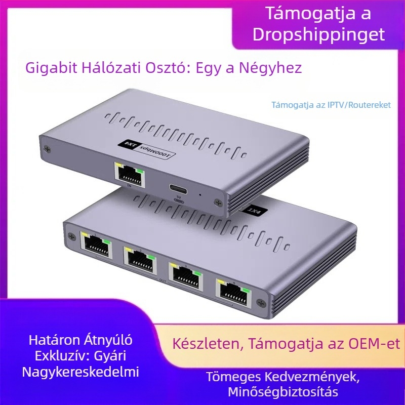 Gigabites hálózati kábelelosztó, Gigabites hálózati elosztó, Számítógépes TV router