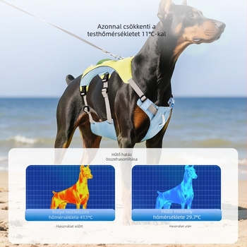 Határokon átnyúló kisállat-kellékek kutyapóráz mellény típusa kis, közepes és nagy kutyahám robbanásbiztos hám kutyasétáltató póráz