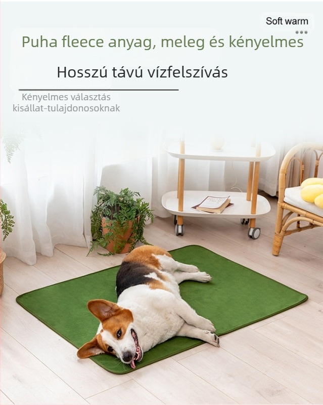 Amazon eladó csúszásmentes szőnyeg kisállatoknak nagy kutyaketreces szőnyeg vizeletálló vízálló korallgyapjú alvószőnyeg mosható