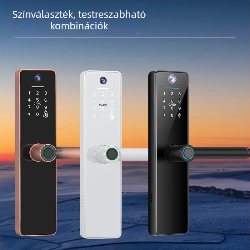 Graffiti macskaszem ujjlenyomat-zár távoli szoba fa ajtó ellop kártya intelligens zár iroda hálószoba határokon átnyúló új modell bérház