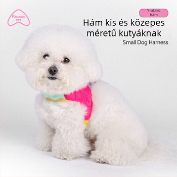 New Wave Dopamine Y alakú kutyapóráz kültéri, elszakadásgátló Teddy Bichon kistestű kutyáknak, sétakötéllel