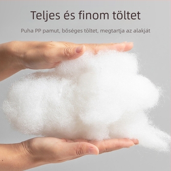 Határokon átnyúló téglalap alakú Oxford szövet kennel karcálló egyszerű kisállat szőnyeg nyári vizeletálló macskahomok hűvös és kényelmes kutyafekhely