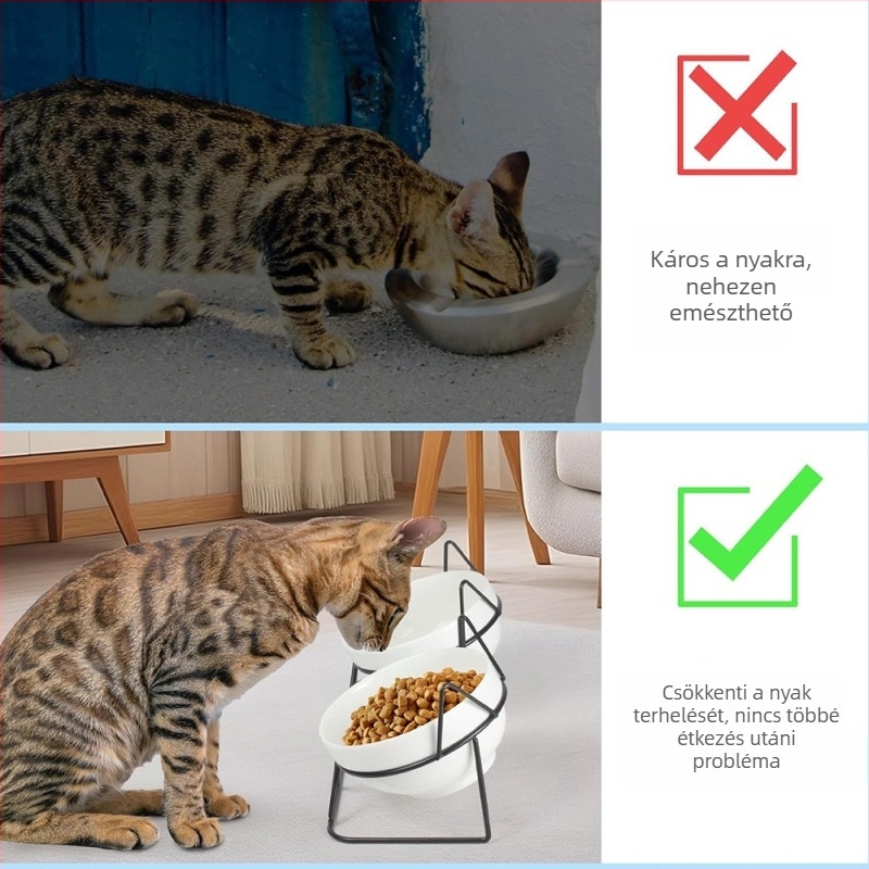 Amazon kisállattál, kutyatál, integrált dupla tál, macska rizstál, macskatál, kerámia, nem könnyen felborítható nyakvédő