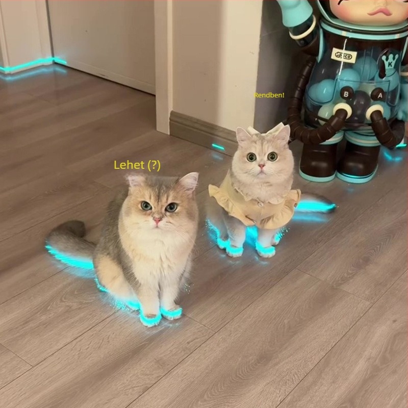 Világító macskacipők, kutyacipők, síp, világító gyerekjátékok, éjszakai fotókiegészítők, macskaöltöztetős játékok