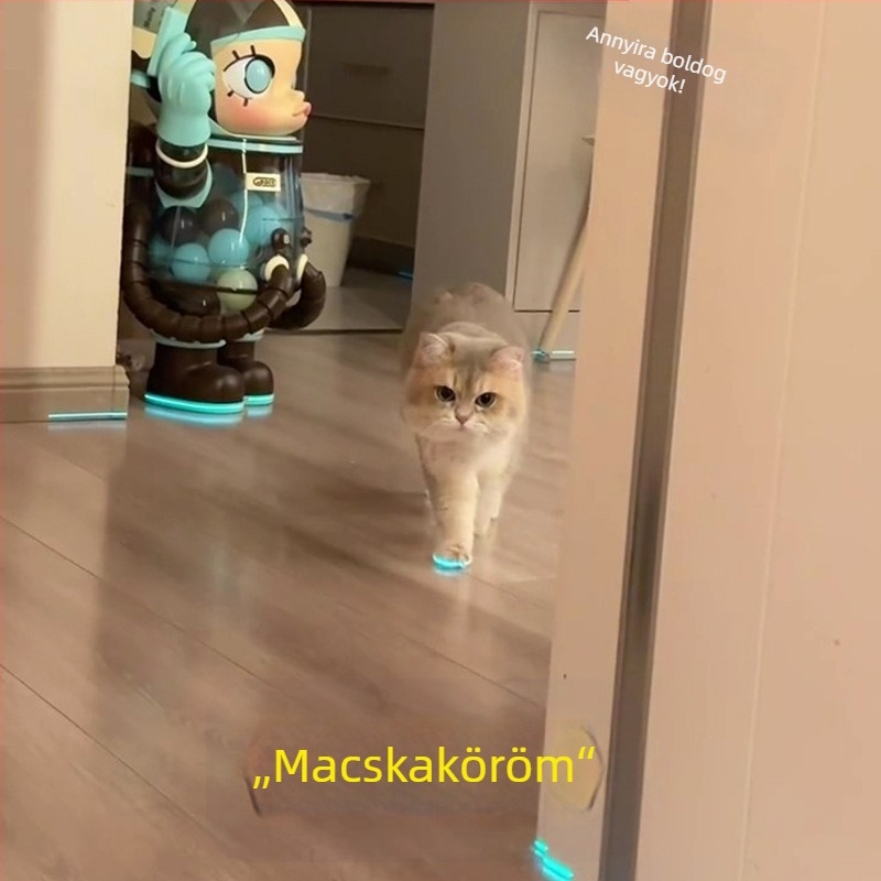 Világító macskacipők, kutyacipők, síp, világító gyerekjátékok, éjszakai fotókiegészítők, macskaöltöztetős játékok